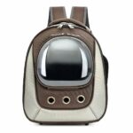 Wasserdichter Rucksack für Katzen und kleine Hunde - Grau - Katze Hund