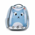 Transparenter Rucksack mit Cartoonmuster für blaue Katzen mit weißem Hintergrund