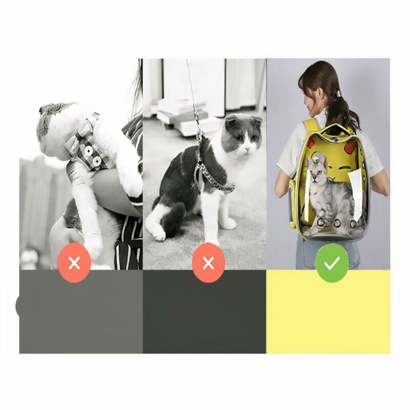 20162-cc0e07.jpeg